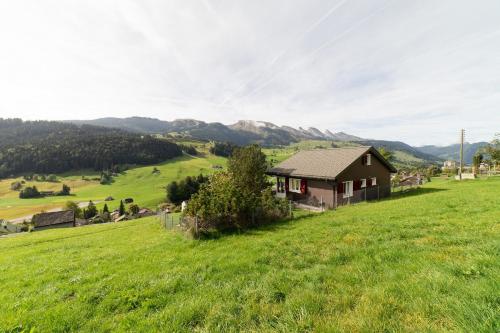 a house in a field with mountains in the background at Steinrüti in Wildhaus