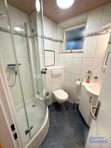 a bathroom with a shower and a toilet and a sink at Appartement Schönblick in Oberteuringen