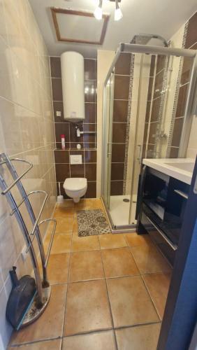 une salle de bain avec douche et toilettes dans l'établissement Au Petit Miramar - Joli T2 face à la mer avec parking, à Saint Cyprien Plage