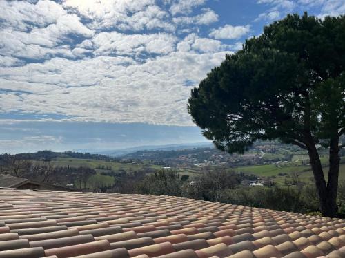 a tree sitting on top of a roof at L'oasi del Conero - Casa con giardino in Ancona