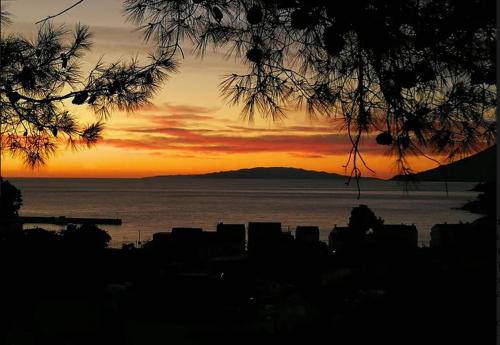 Foto dalla galleria di Olive-Sunset Haven in Zuljana a Žuljana