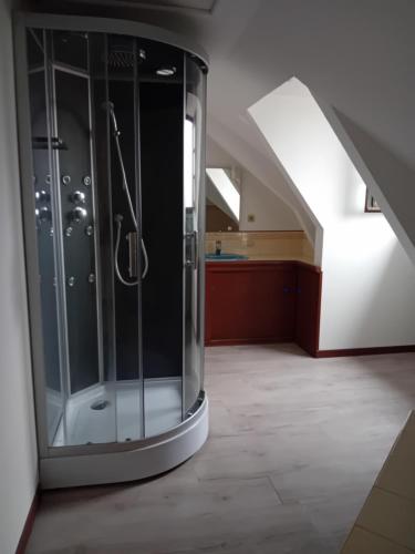 La salle de bains est pourvue d'une douche en verre et d'un escalier. dans l'établissement Les Hirondelles, à Blesmes