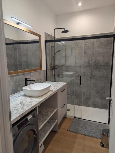 une salle de bain avec une machine à laver et un lavabo dans l'établissement Beau 3 pièces climatisé vue Canal idéalement situé Centre Ville, à Sète