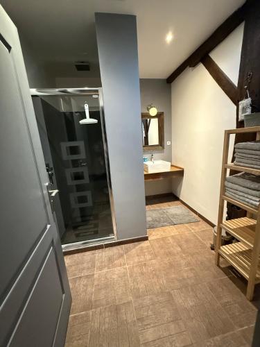 a bathroom with a shower and a sink at Gites Le Grand Tornage in Évaux-les-Bains