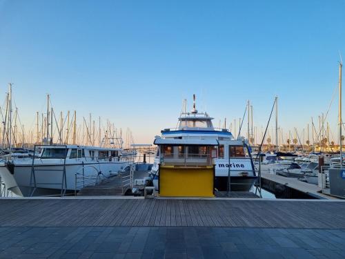 Phong cảnh thiên nhiên gần căn hộ