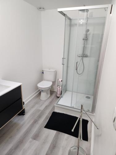 une salle de bain avec douche et toilettes dans l'établissement Appartement meublé 6 personnes à deux pas du centre-ville, à Saint-Dizier