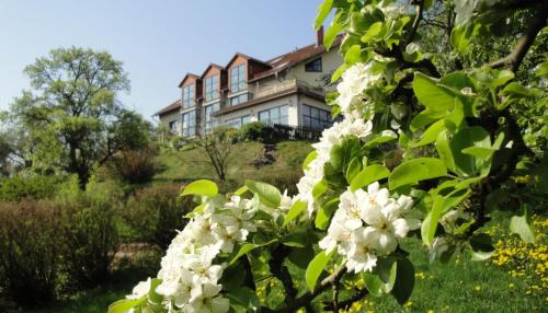 a tree with white flowers in front of a house at Landhotel Burgenblick in Erfurt