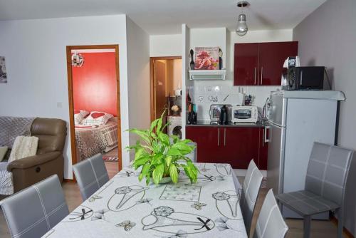 une cuisine avec une table et une plante. dans l'établissement Appartement au pied des remparts avec place de parking, à Boulogne-sur-Mer