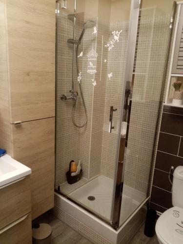 une douche avec une porte vitrée dans une salle de bain dans l'établissement Appartement au pied des remparts avec place de parking, à Boulogne-sur-Mer