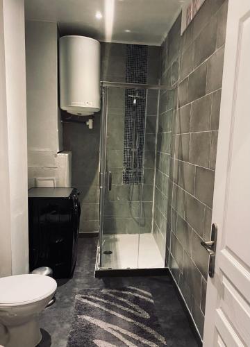 une salle de bain avec douche et toilettes dans l'établissement Appartement t3 centre ville de Nice, à Nice