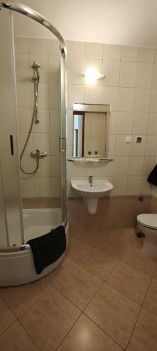 Bilik mandi di Apartamenty Smętek