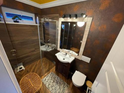 Ostravice Apartmentにあるバスルーム