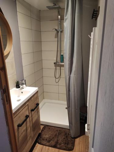 une salle de bain avec une baignoire, un lavabo et une douche dans l'établissement Maison 2 chambres Centre-Ville, à La Fère