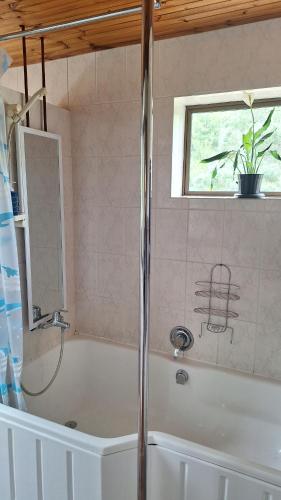 a bathroom with a bath tub with a window at Dolphin in Brenton-on-Sea