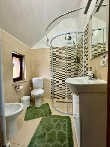 Pensiunea Joreanu tesisinde bir banyo