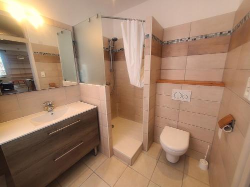 une salle de bain avec une douche, des toilettes et un lavabo dans l'établissement Grand appartement, 4 chambres au cœur du Mourillon, à Toulon