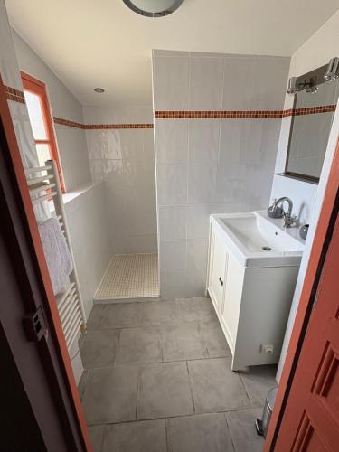 a small bathroom with a sink and a shower at le Gite de la Bergerie in Amboise