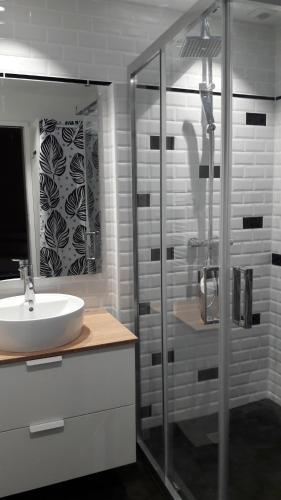 une salle de bain avec un lavabo et une douche en verre dans l'établissement Studio Trocadero 2p coté jardin, à Rosny-sous-Bois