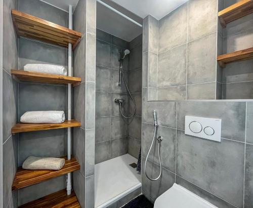 une salle de bain avec douche et toilettes dans l'établissement Le Céleste, à Villeurbanne