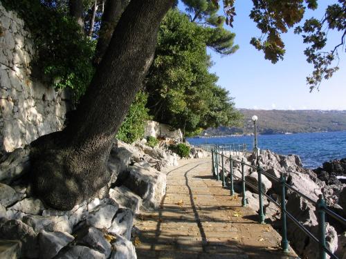 Apartment Tony 55m2