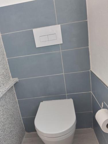 a bathroom with a white toilet and blue tiles at La Medusa in La Ciaccia