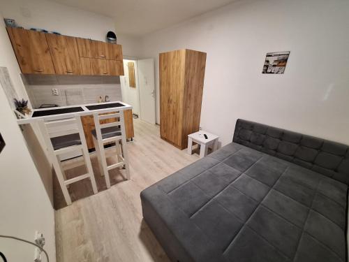Apartman-studio Sokobanjaにあるキッチンまたは簡易キッチン