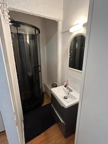 une salle de bain avec une douche, un lavabo et un miroir dans l'établissement Résidence proche des plages , route de loctudy, à Pont-lʼAbbé