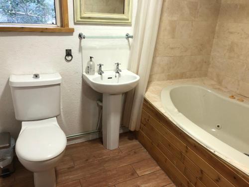 Ένα μπάνιο στο Stables,1 or 2 bedroom Eco earth house, edge of Dartmoor