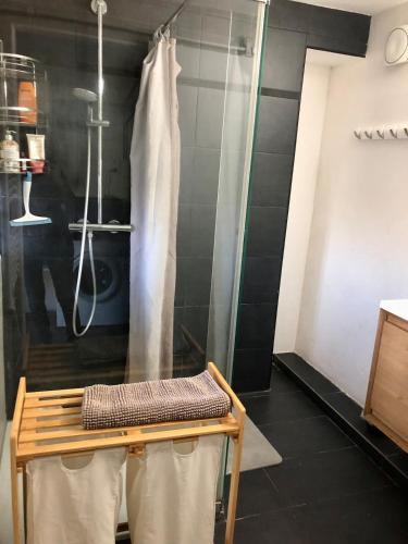 La salle de bains est pourvue d'une douche et d'un banc avec rideau de douche. dans l'établissement Nice studio surrounded by nature!, à Grasse