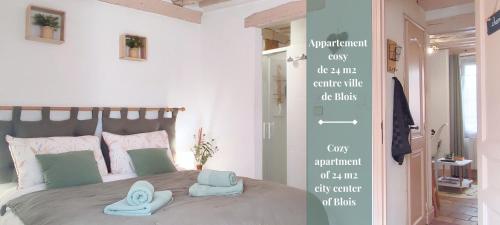 Blois City - Le Petit Saint Jean