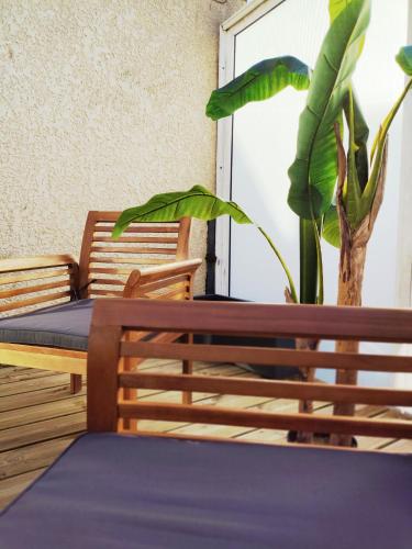 une terrasse couverte avec une table et une plante dans l'établissement Le gite d'Arsène avec terrasse et garage en option a 200 m de la plage, à Étretat