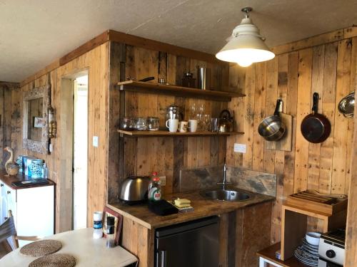 Η κουζίνα ή μικρή κουζίνα στο FoxesDen, Unique Eco Cabin, Dartmoor views