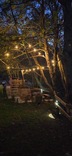 a tree with lights on it in a park at night at Vikendica GORSKI VUK Jelovica in Berane