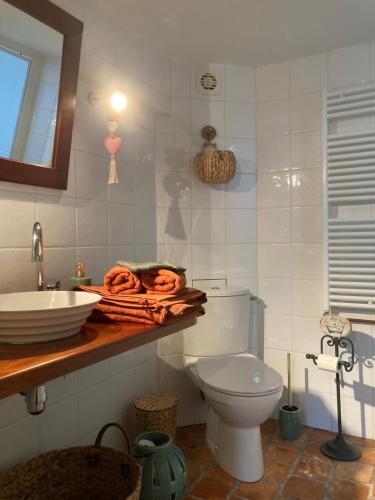 a bathroom with a toilet and a sink at La Couarderie in Tigy
