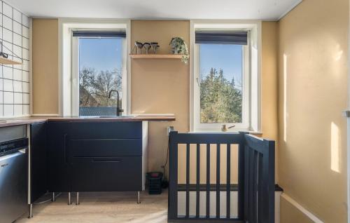 a kitchen with black cabinets and two windows at 3 Bedroom Lovely Home In Thisted in Thisted
