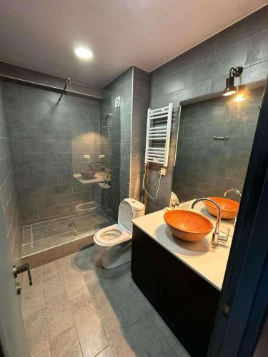 a bathroom with a sink and a toilet at Bakuriani Panorama in Bakuriani