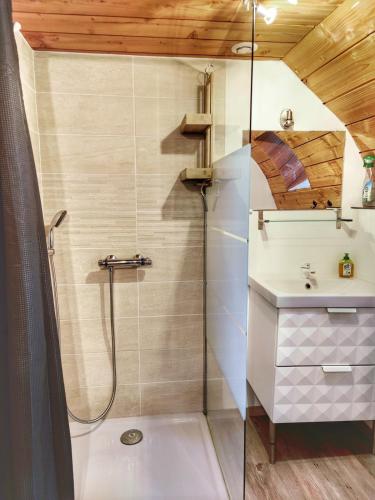 une salle de bain avec douche et lavabo dans l'établissement La Bergerie des Volcans - DogFriendly, à Saint-Nectaire