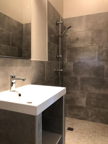 une salle de bain avec un lavabo et une douche dans l'établissement Beautiful Provencal Villa With Private Pool, à Aubignan