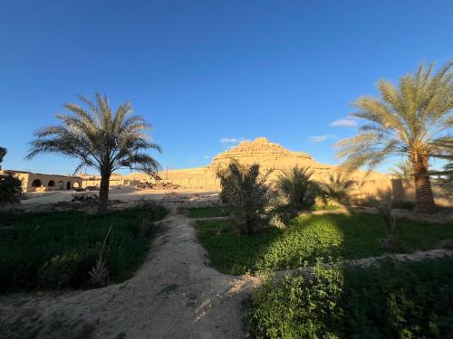 Eeri Siwa Oasis - Authentic Desert Guesthouse