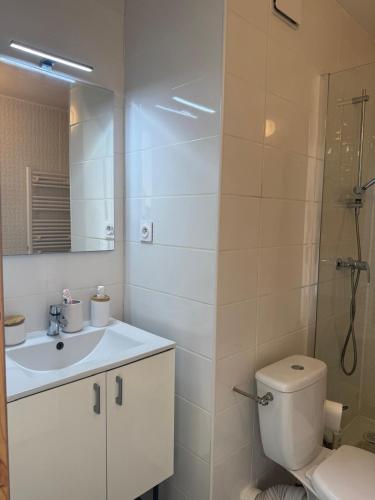 une salle de bain avec toilettes, lavabo et douche dans l'établissement La Casa Marina - Cozy apartment Frontignan Plage, à Frontignan