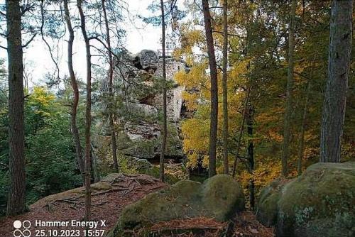 Příroda nedaleko apartmánu