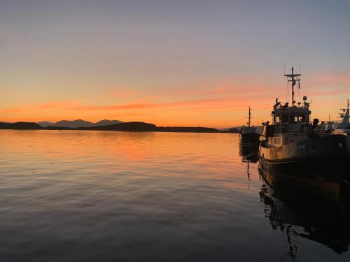 two boats are docked in the water at sunset at Tawny Owl Pod with Hot Tub in Oban