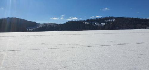 a snow covered field with trees and mountains in the background at AlVa- relax a oddych v Slovenskom raji in Dedinky