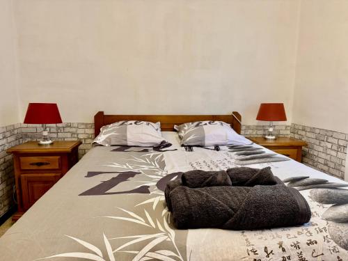 a bedroom with a bed with two tables and two lamps at Appartement F3 de 60 m² au rez de chaussée d'une villa in Vézénobres