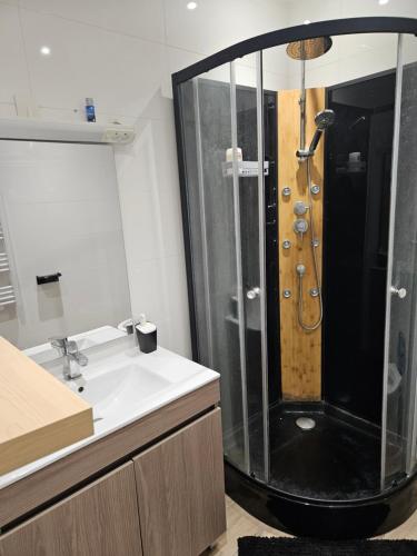 Ένα μπάνιο στο Appart des Lions