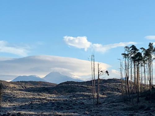a group of trees in a field with mountains in the background at Tawny Owl Pod with Hot Tub in Oban