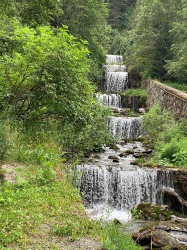 a waterfall in the middle of a forest at Maison Du Coeur Champoluc - Spa, Gym e aree relax in Champoluc