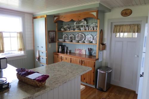 a kitchen with a counter and a shelf with dishes at Devil's Cove in Port Rexton