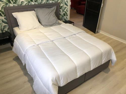 Cama o camas de una habitación en chez joseph,appartements renovés et au calme à saint-michel
