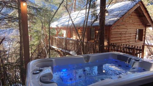 un jacuzzi en face d'une cabane en rondins dans l'établissement Cabanes des Pins Sylvestres Gélas, à Saint-Martin-Vésubie